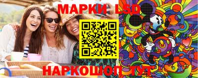 спиды Кингисепп