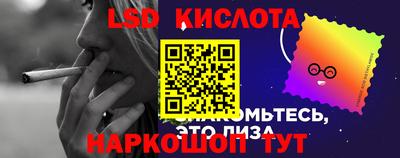 спиды Кингисепп