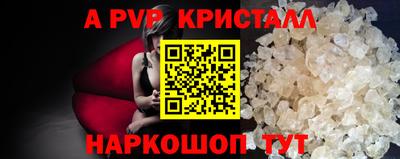 спиды Кингисепп