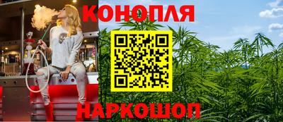 спиды Кингисепп