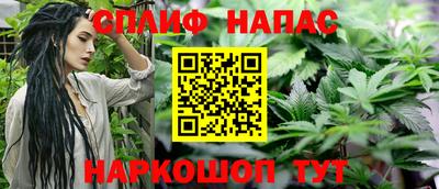 спиды Кингисепп
