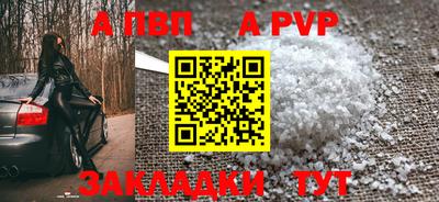 спиды Кингисепп
