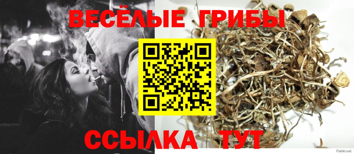 Галлюциногенные грибы Magic Shrooms  Псилоцибиновые грибы мицелий  Вход с VPN  Кохма 